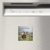 Asturias Bergkuh-Reise Magnet (In Situ (Geschirrspüler))