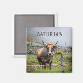 Asturias Mountain Cow Travel Magnet (Vorderseite/Rückseite)