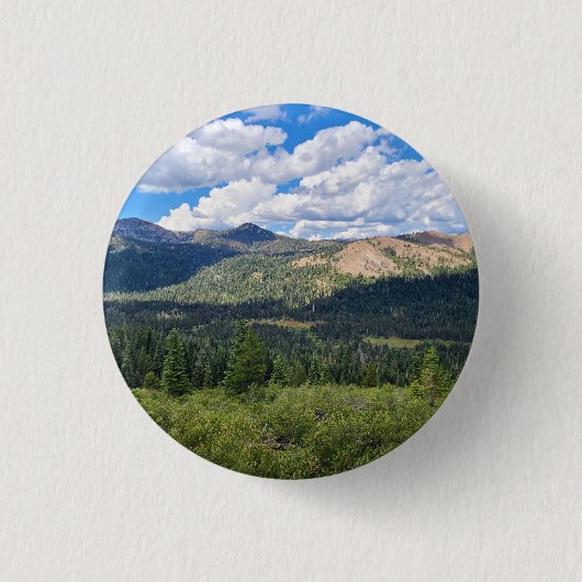 aswrvr button (Vorderseite)