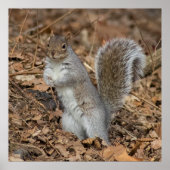 At Attention Poster (Vorne)