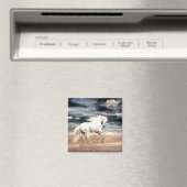 at the gallop magnet (In Situ (Geschirrspüler))