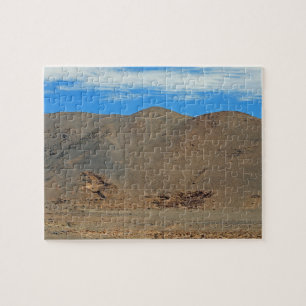 Atacama Geoglyphen Puzzle