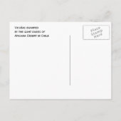 Atacama Wüste, Chile Postkarte (Rückseite)