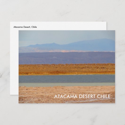Atacama Wüste, Chile-Postkarte Postkarte (Vorne/Hinten)