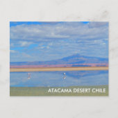 Atacama Wüste, Flamingo Chile Postcard Postkarte (Vorderseite)