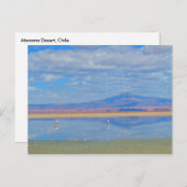 Atacama Wüste, Flamingo Chile Postcard Postkarte (Vorne/Hinten)