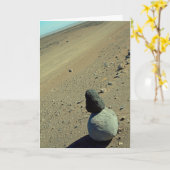 Atacama-Wüste Karte (Gelbe Blume)