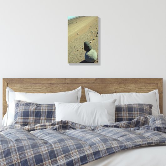 Atacama-Wüste Leinwanddruck (Insitu (Schlafzimmer))
