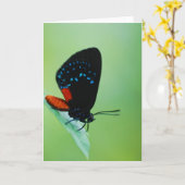 Atala Karte (Gelbe Blume)