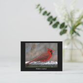 ATC Nord Kardinal Visitenkarte (Stehend Vorderseite)