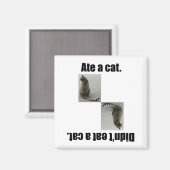 Ate eine Katze. Magnet (Vorderseite/Rückseite)