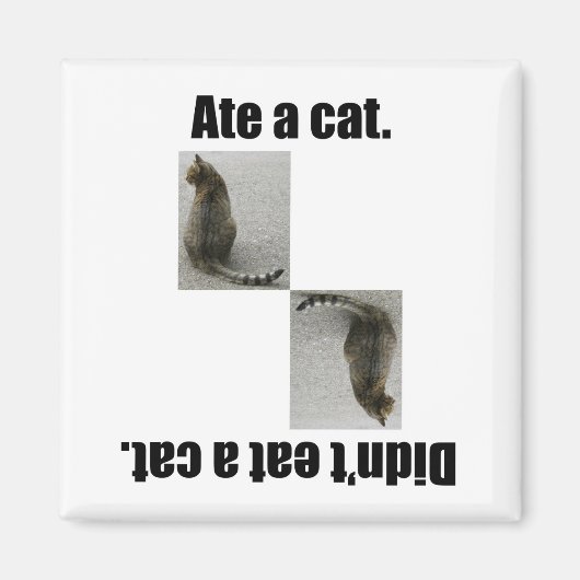 Ate eine Katze. Magnet (Vorne)