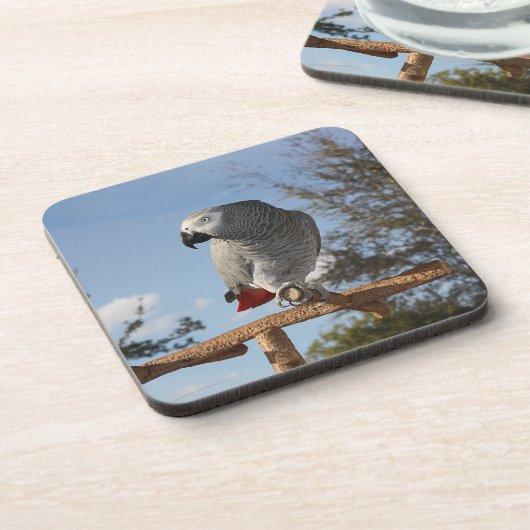 Atemberaubend-Afrikanischer Grau-Papagei Getränkeuntersetzer (Linke Seite)