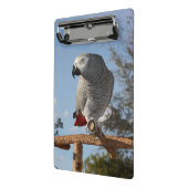 Atemberaubend-Afrikanischer Grau-Papagei Mini Klemmbrett (Gewinkelt2)