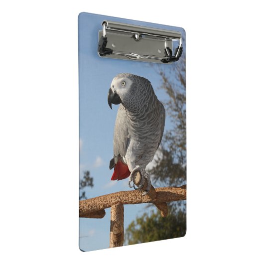 Atemberaubend-Afrikanischer Grau-Papagei Mini Klemmbrett (Schrägansicht)