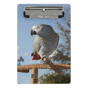 Atemberaubend-Afrikanischer Grau-Papagei Mini Klemmbrett