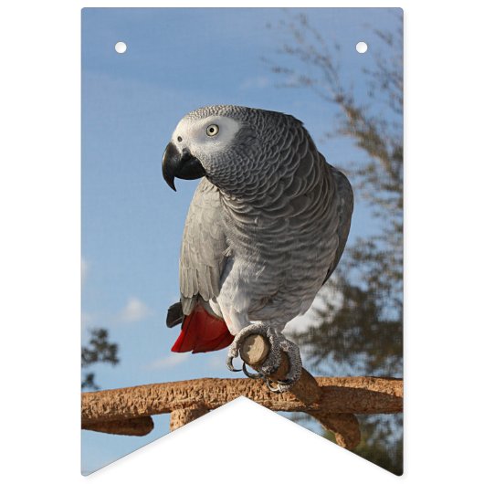 Atemberaubend-Afrikanischer Grau-Papagei Wimpelkette (Erste Fahne)
