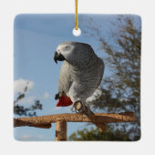 Atemberaubend-Afrikanischer Grauer Papagei Keramikornament (Rückseite)