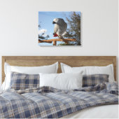 Atemberaubend-Afrikanischer Grauer Papagei Leinwanddruck (Insitu (Schlafzimmer))