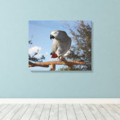 Atemberaubend-Afrikanischer Grauer Papagei Leinwanddruck (Insitu (Holzboden))