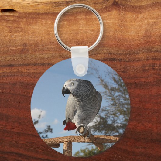 Atemberaubend-Afrikanischer Grauer Papagei Schlüsselanhänger (Vorderseite)
