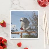 Atemberaubend-Afrikanischer Grauer Papagei Serviette (Beispiel)