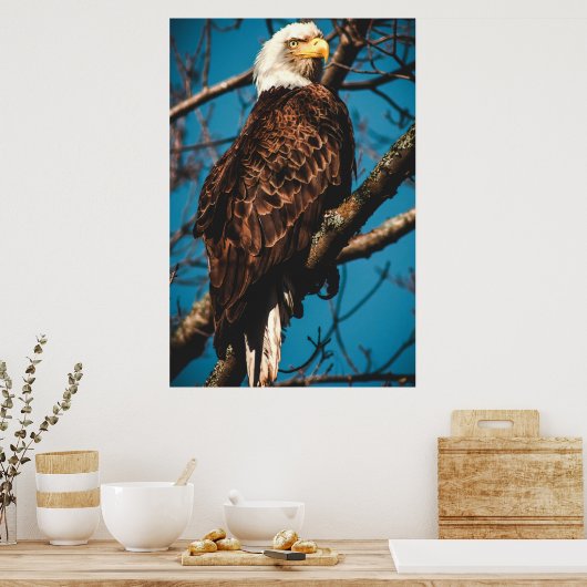 Atemberaubend American Bald Eagle Poster (Küche)