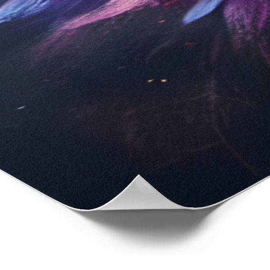 Atemberaubend Aster Blossom Poster (Ecke)