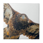 Atemberaubend Bald Adler macht einen Flyover Fliese (Vorderseite)