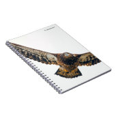 Atemberaubend Bald Adler macht einen Flyover Notizblock (Rechte Seite)