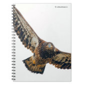 Atemberaubend Bald Adler macht einen Flyover Notizblock (Vorderseite)