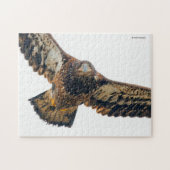 Atemberaubend Bald Adler macht einen Flyover Puzzle (Horizontal)