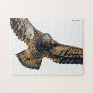 Atemberaubend Bald Adler macht einen Flyover Puzzle