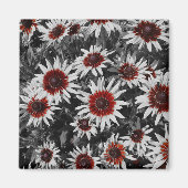 Atemberaubend Black-Mit Augen Susans Magnet (Vorne)