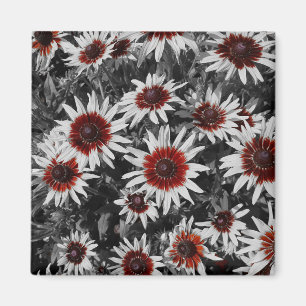 Atemberaubend Black-Mit Augen Susans Magnet