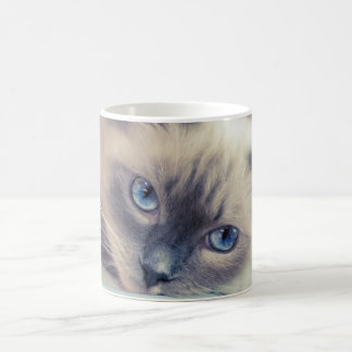 Atemberaubend Blue Mit Augen Ragdoll Cat Kaffeetasse