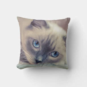 Atemberaubend Blue Mit Augen Ragdoll Cat Kissen