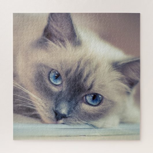 Atemberaubend Blue Mit Augen Ragdoll  Cat Puzzle (Vertikal)