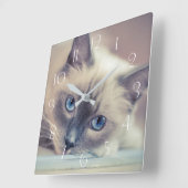 Atemberaubend Blue Mit Augen Ragdoll ‎ Cat Quadratische Wanduhr (Winkel)