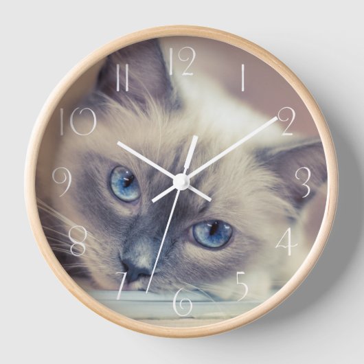 Atemberaubend Blue Mit Augen Ragdoll ‎ Cat Uhr (Vorderseite)