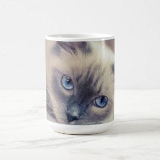 Atemberaubend Blue Mit Augen Ragdoll Cat Verwandlungstasse
