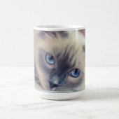 Atemberaubend Blue Mit Augen Ragdoll ‎ Kaffeetasse (Mittel)