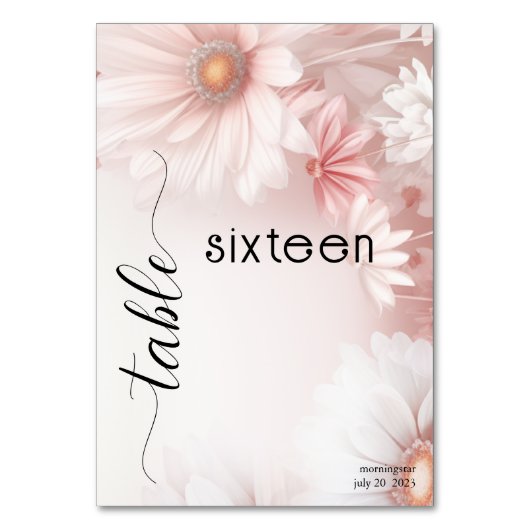Atemberaubend Blush Pink Daisies Tischnummer (Vorderseite)