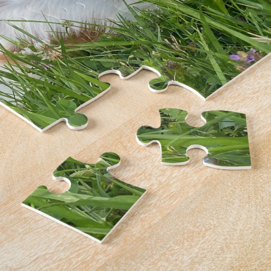 Atemberaubend Cavalier King Charles Spaniel Puzzle (Seite)