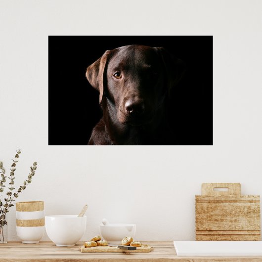 Atemberaubend Chocolate Labrador Poster (Küche)