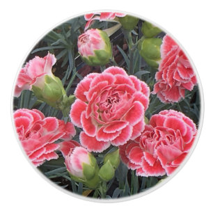 Atemberaubend Dianthus Keramikknauf