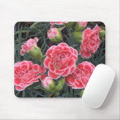 Atemberaubend Dianthus Mousepad (Mit Mouse)