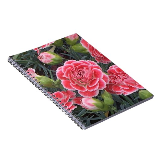 Atemberaubend Dianthus Notizblock (Rechte Seite)