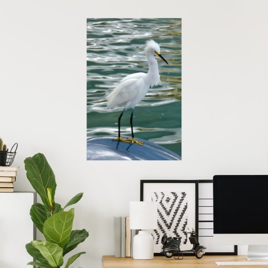 Atemberaubend Egret Bird Poster (Heimbüro)