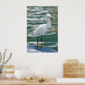 Atemberaubend Egret Bird Poster (Küche)